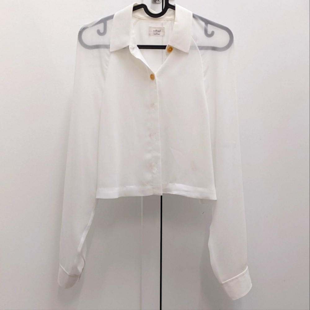 Aritzia Cropped Sheer Blouse